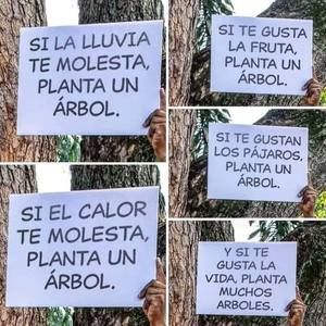 Meet your Posher, Saisa